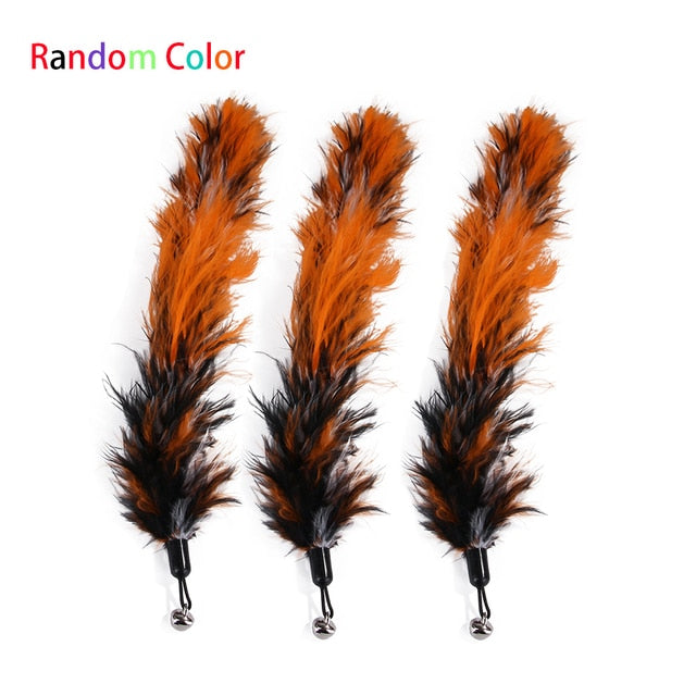 Interactive Feather and Ball Cat Toys